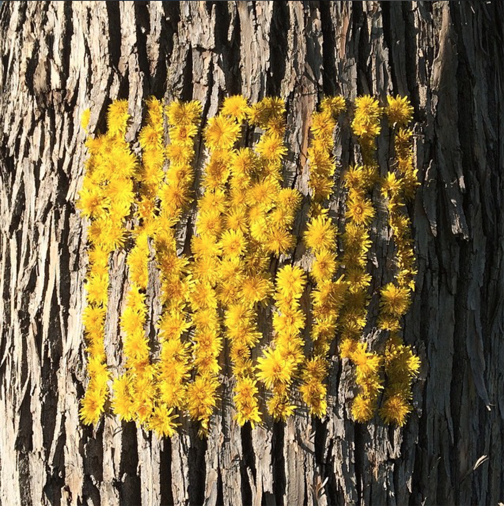 Carousel Image number 6