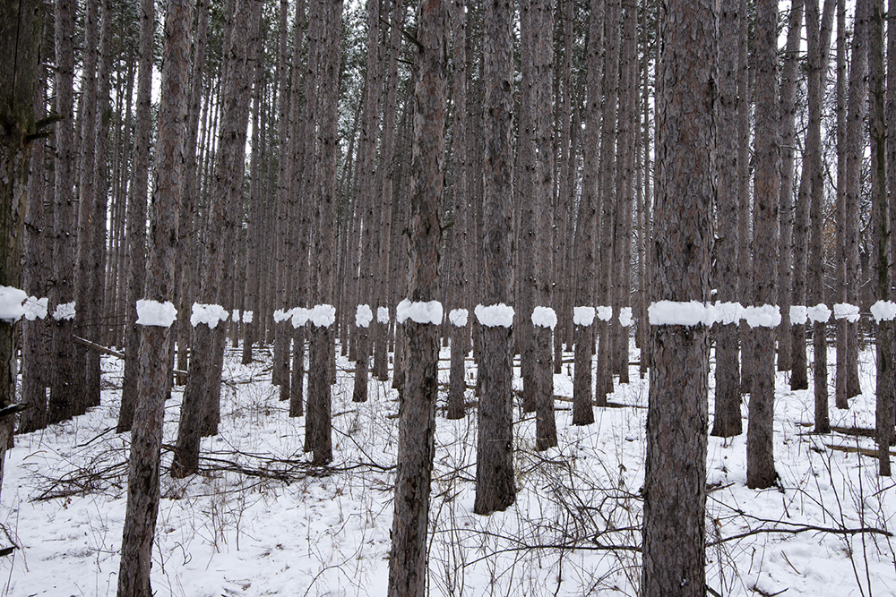 Carousel Image number 8