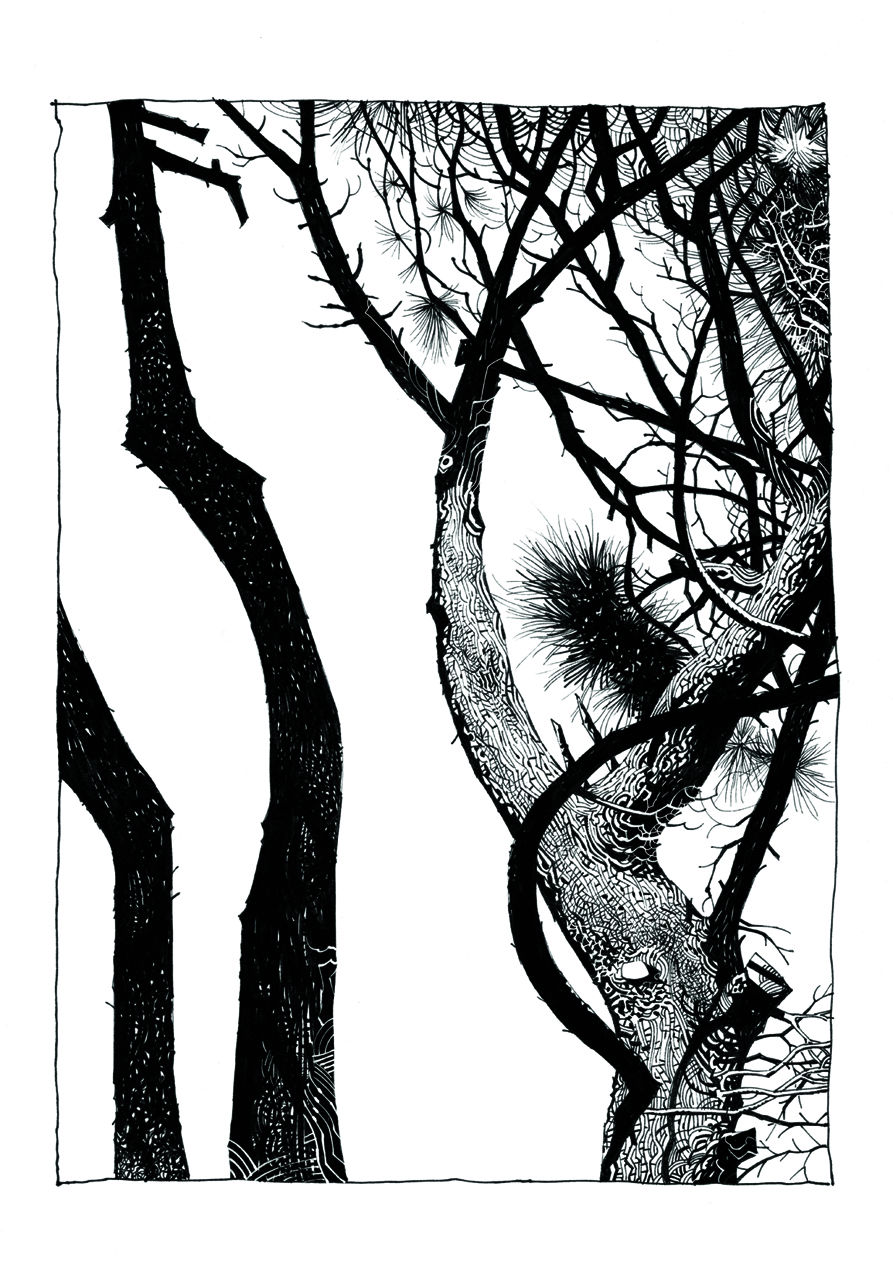 Carousel Image number 17