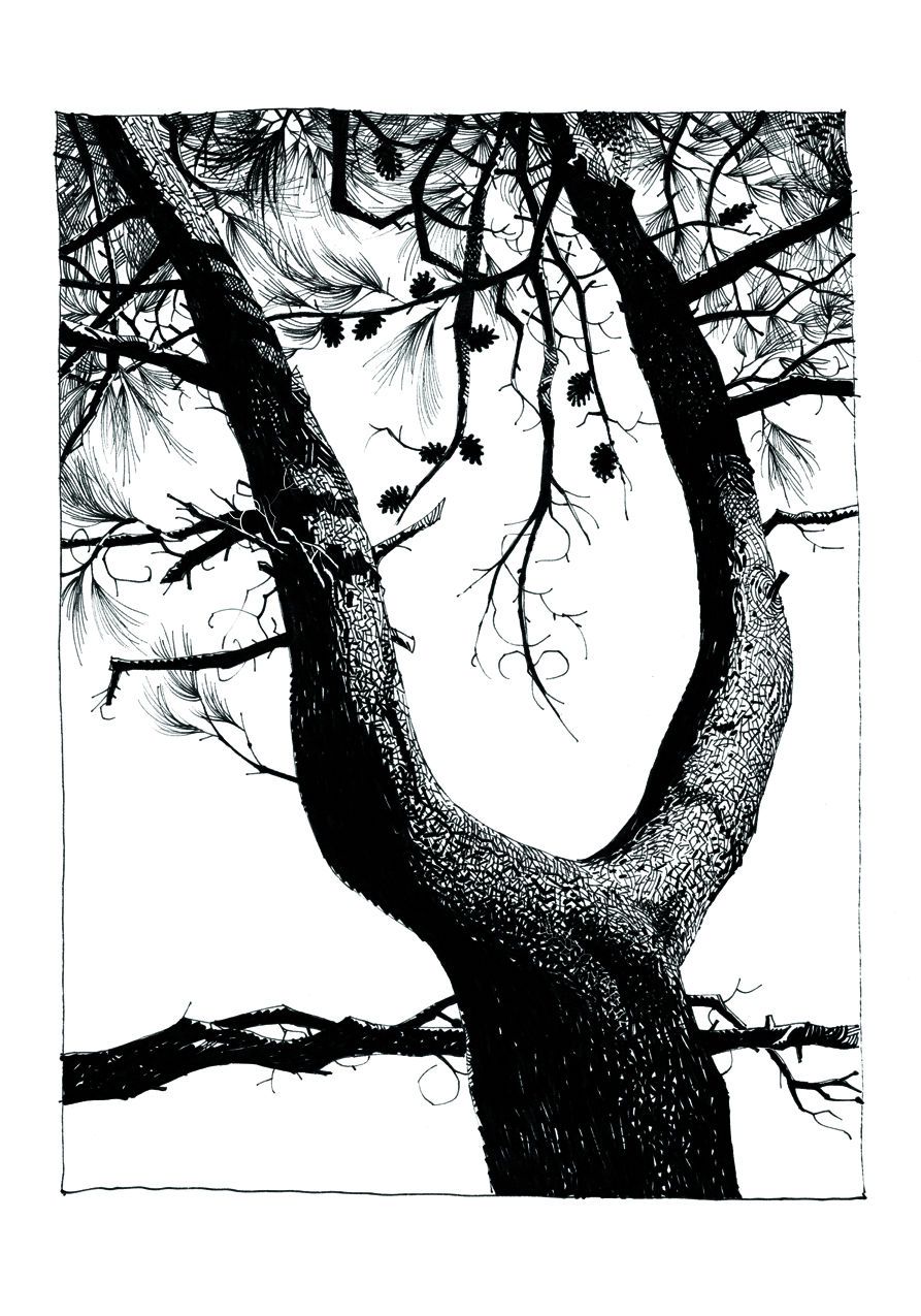 Carousel Image number 18