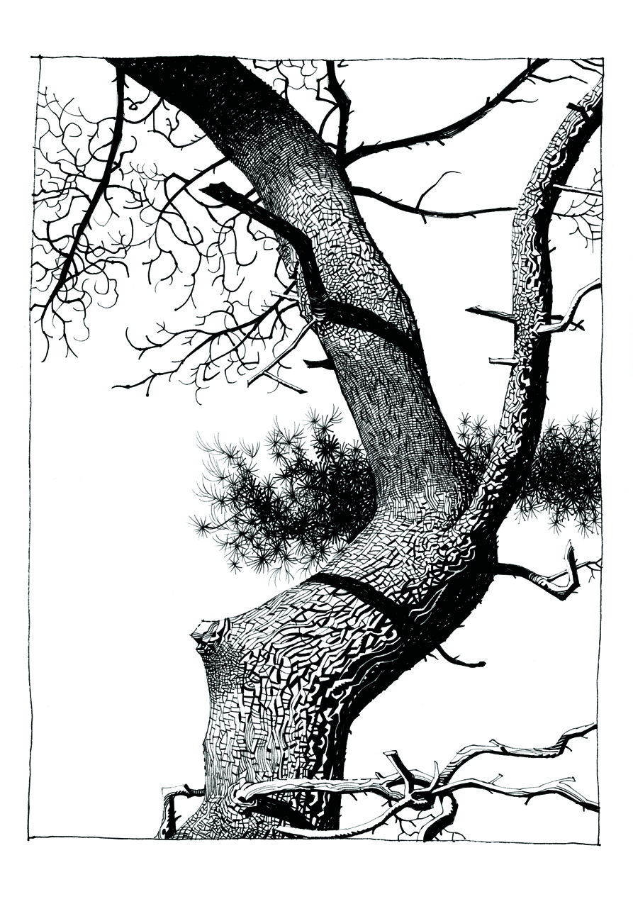 Carousel Image number 19