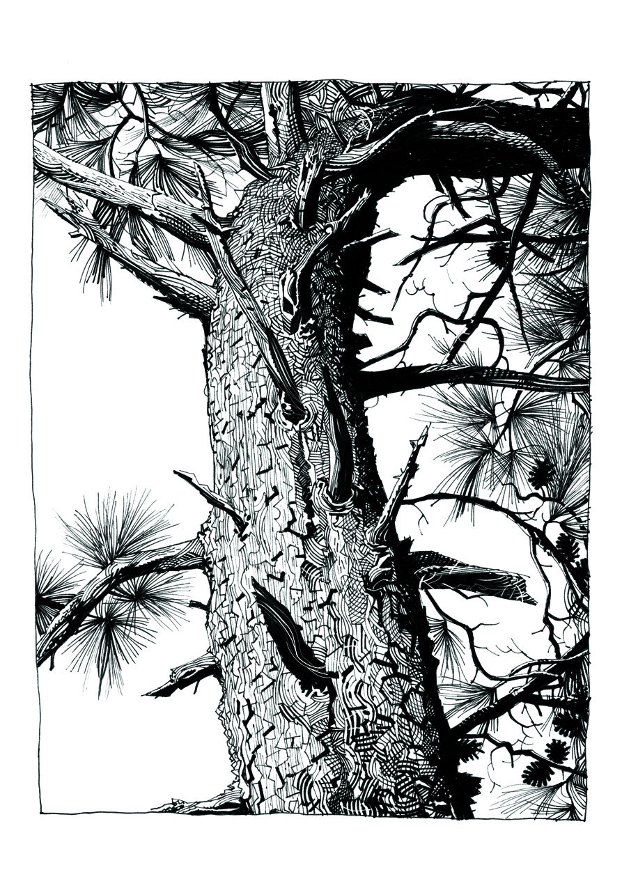 Carousel Image number 21