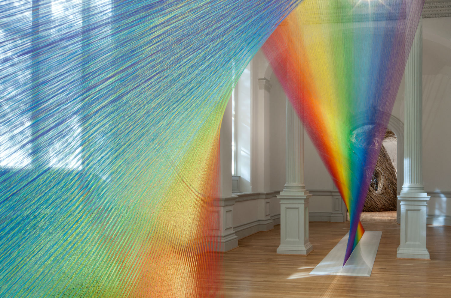 Plexus A1 at Renwick Gallery of the Smithsonian American Art Museum