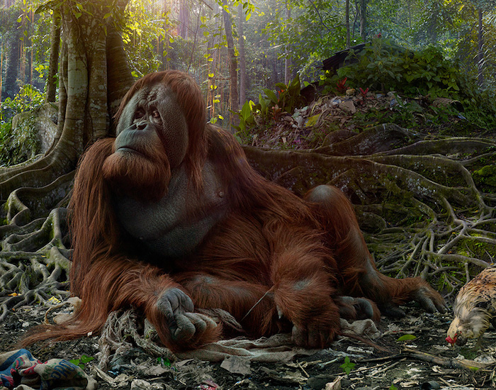 Carousel Image number 3