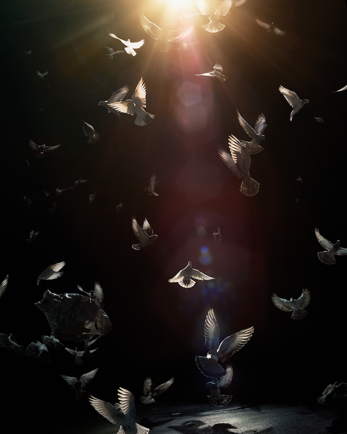 Carousel Image number 8