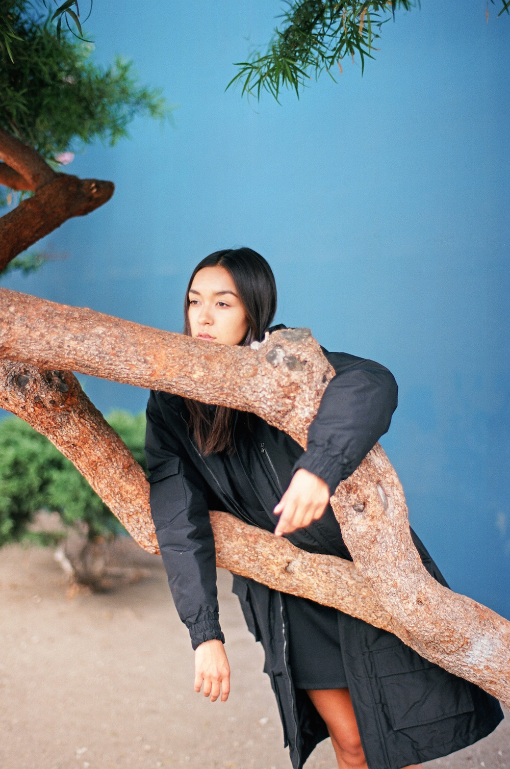 Carousel Image number 11