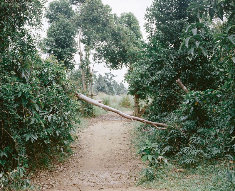 Carousel Image number 9