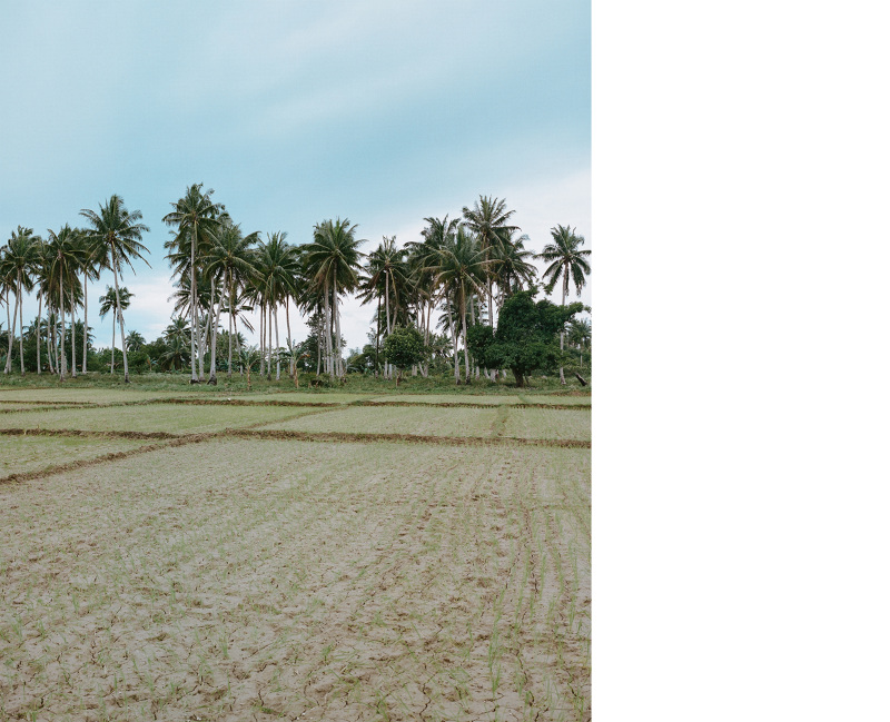 Carousel Image number 11