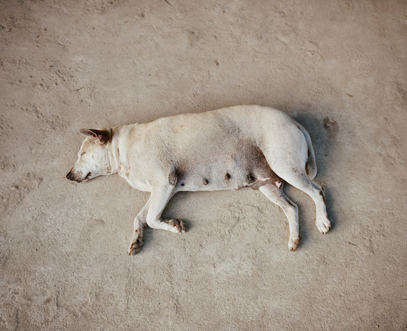 Carousel Image number 19