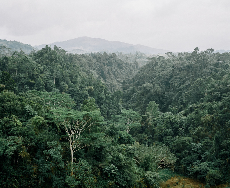 Carousel Image number 31