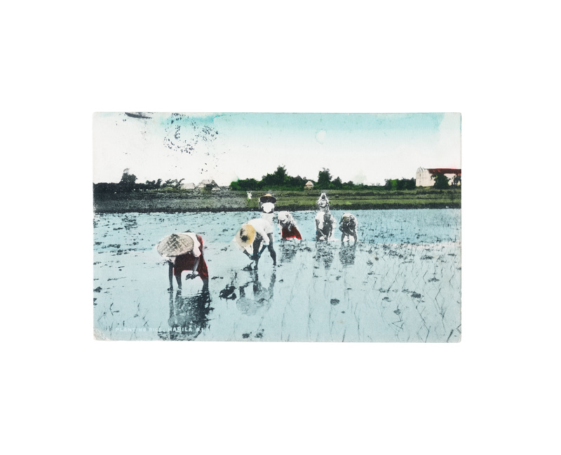 Carousel Image number 37