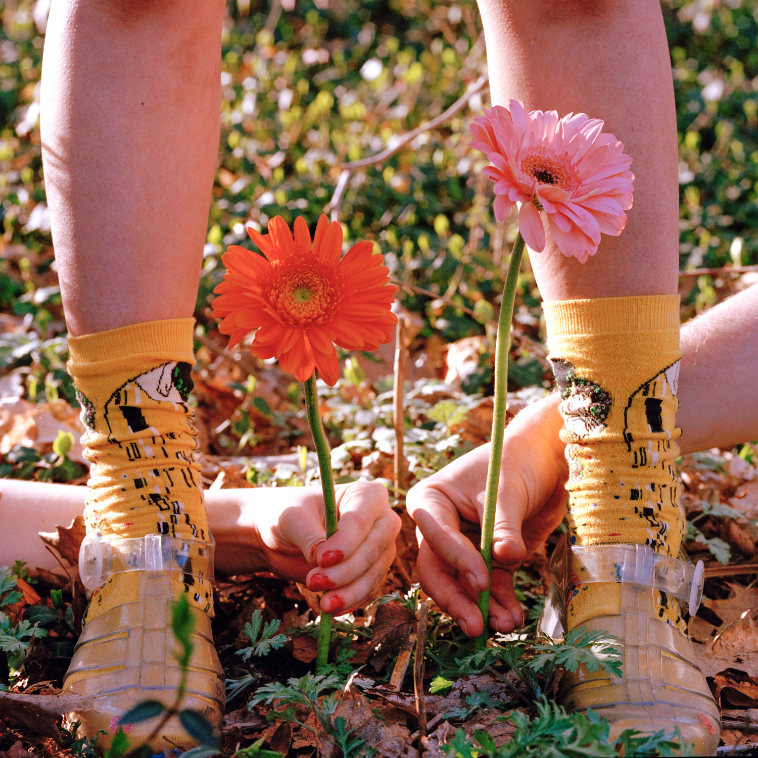 Carousel Image number 3