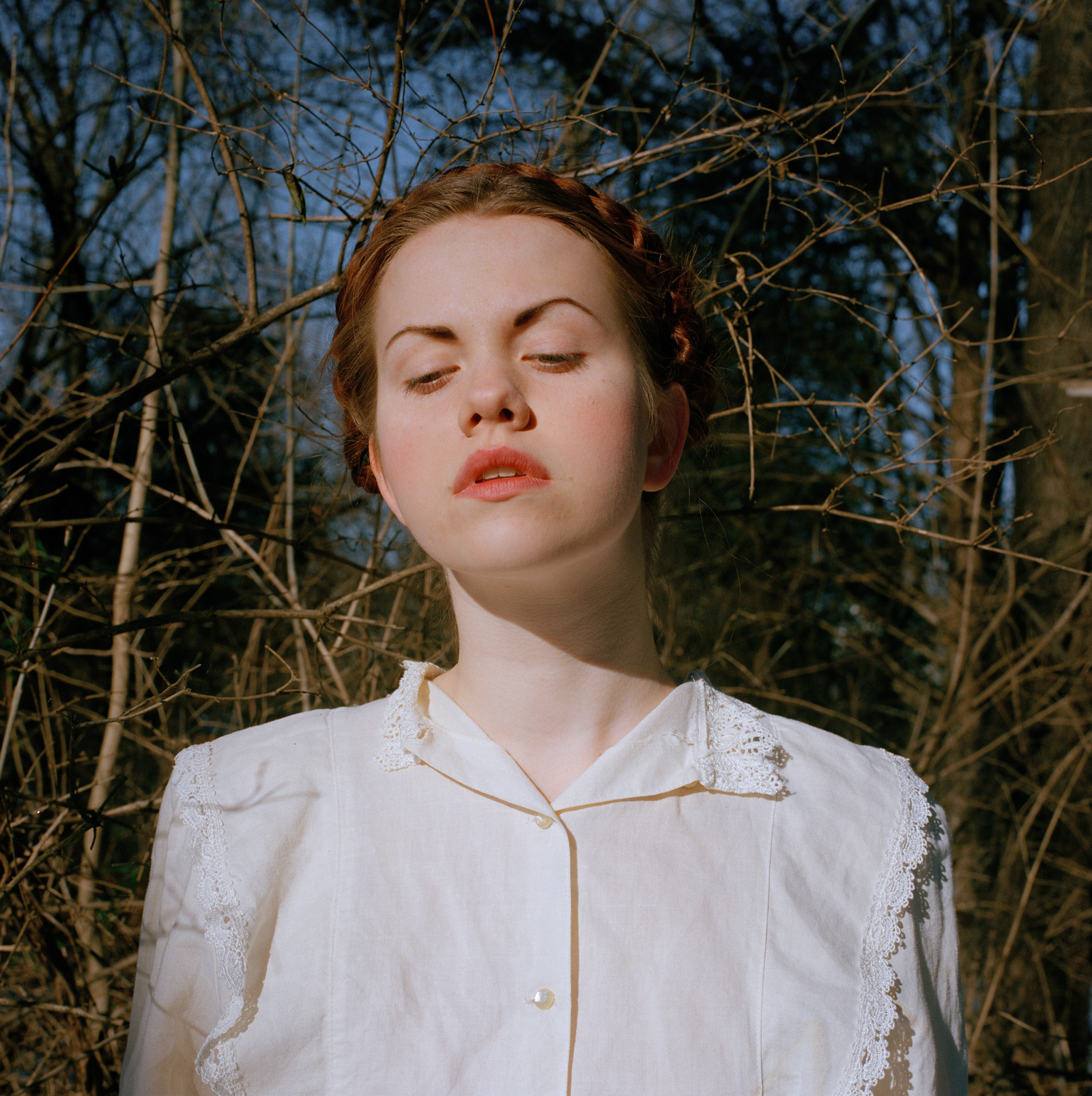 Carousel Image number 6