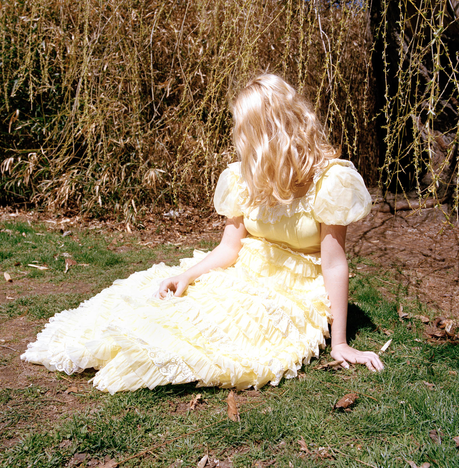 Carousel Image number 12