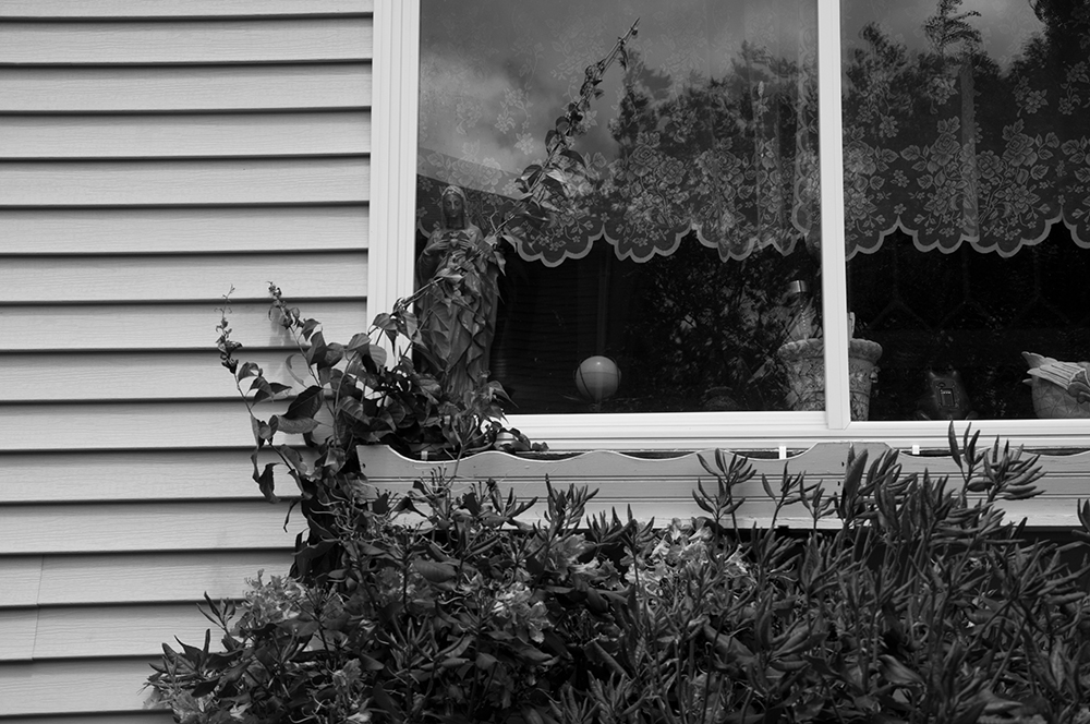 Carousel Image number 6