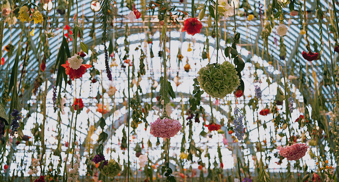 Carousel Image number 11