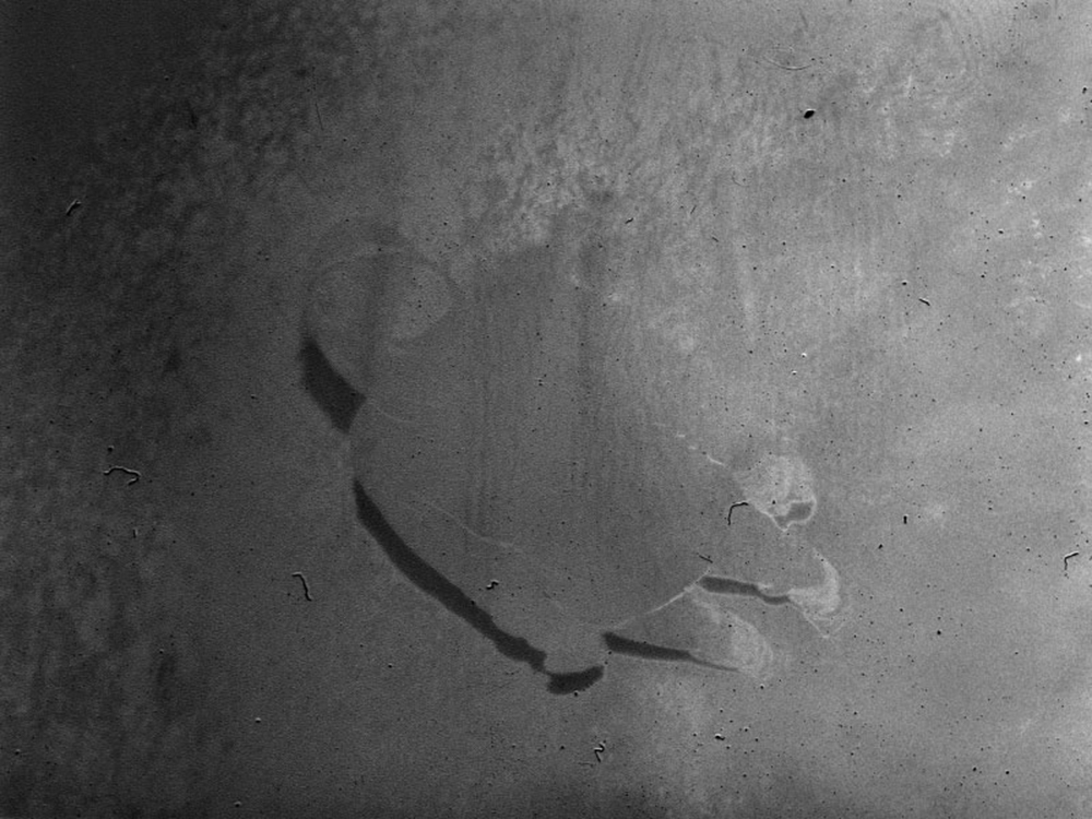 Carousel Image number 9