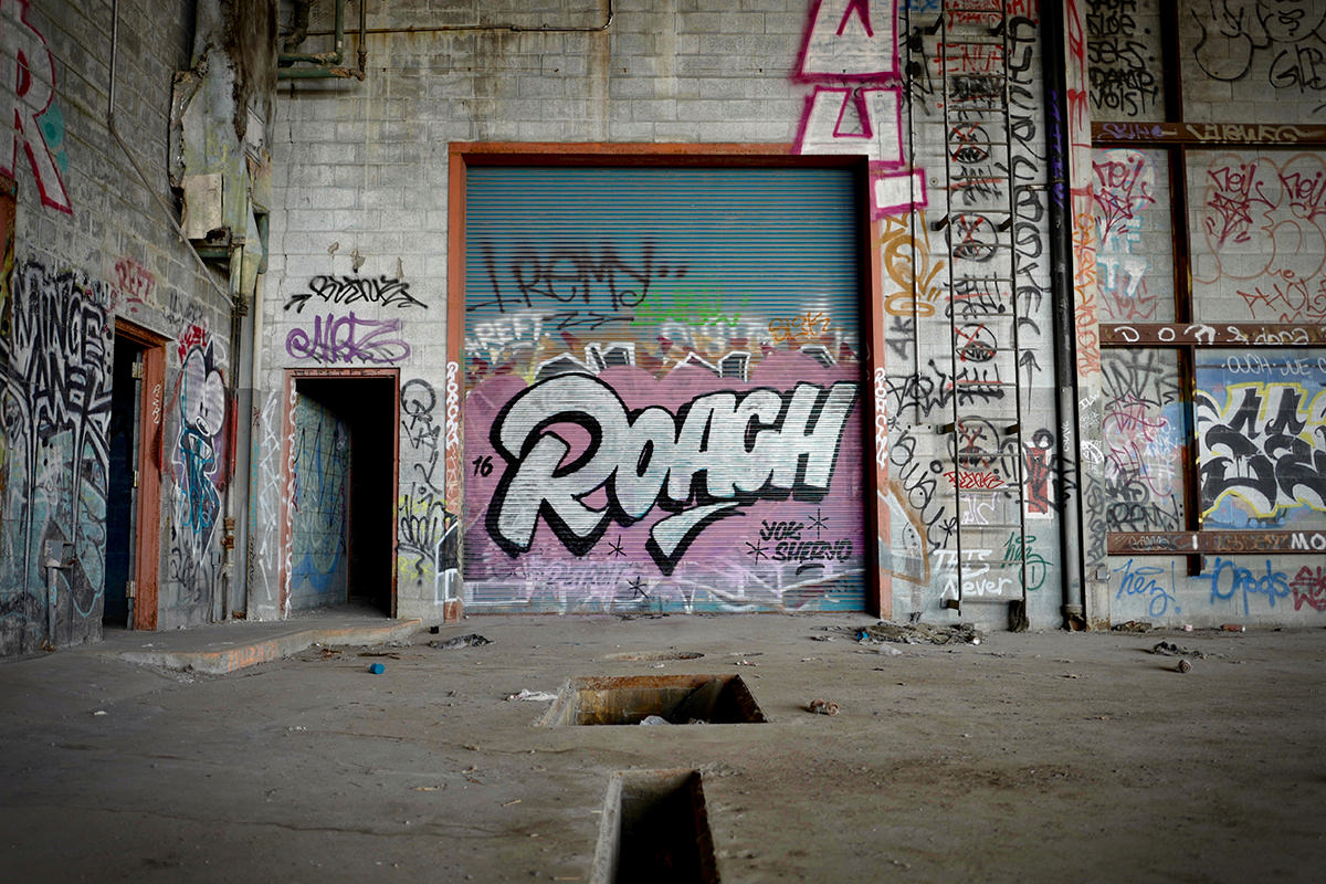 Carousel Image number 5