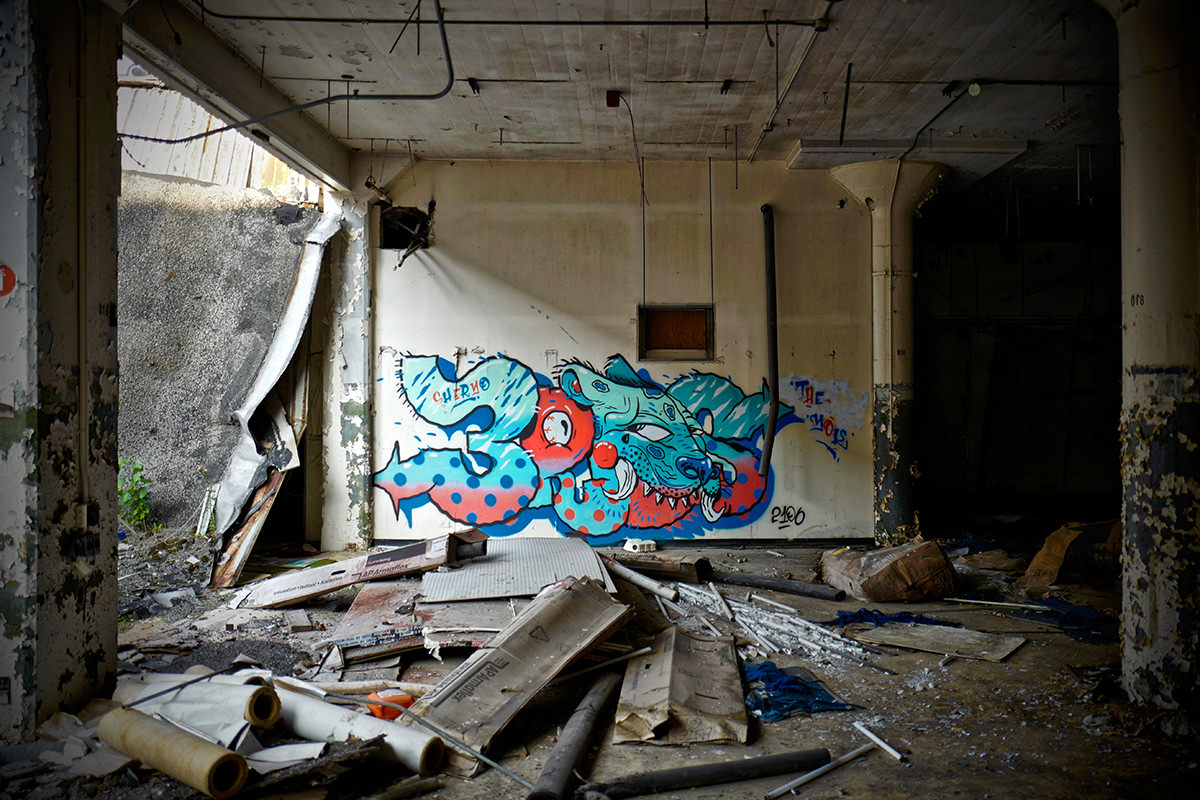 Carousel Image number 4