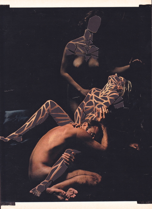 Carousel Image number 5