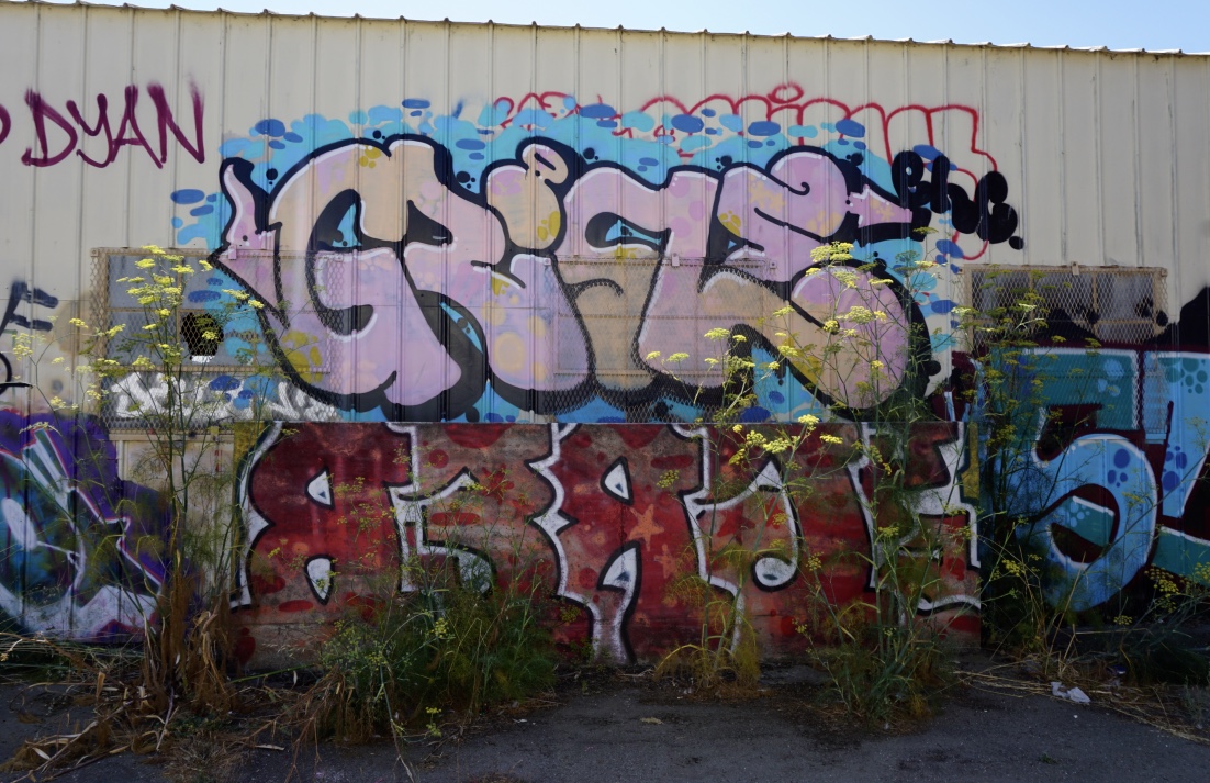 Carousel Image number 12