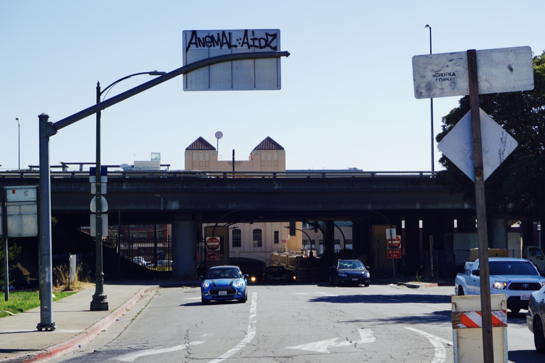 Carousel Image number 14