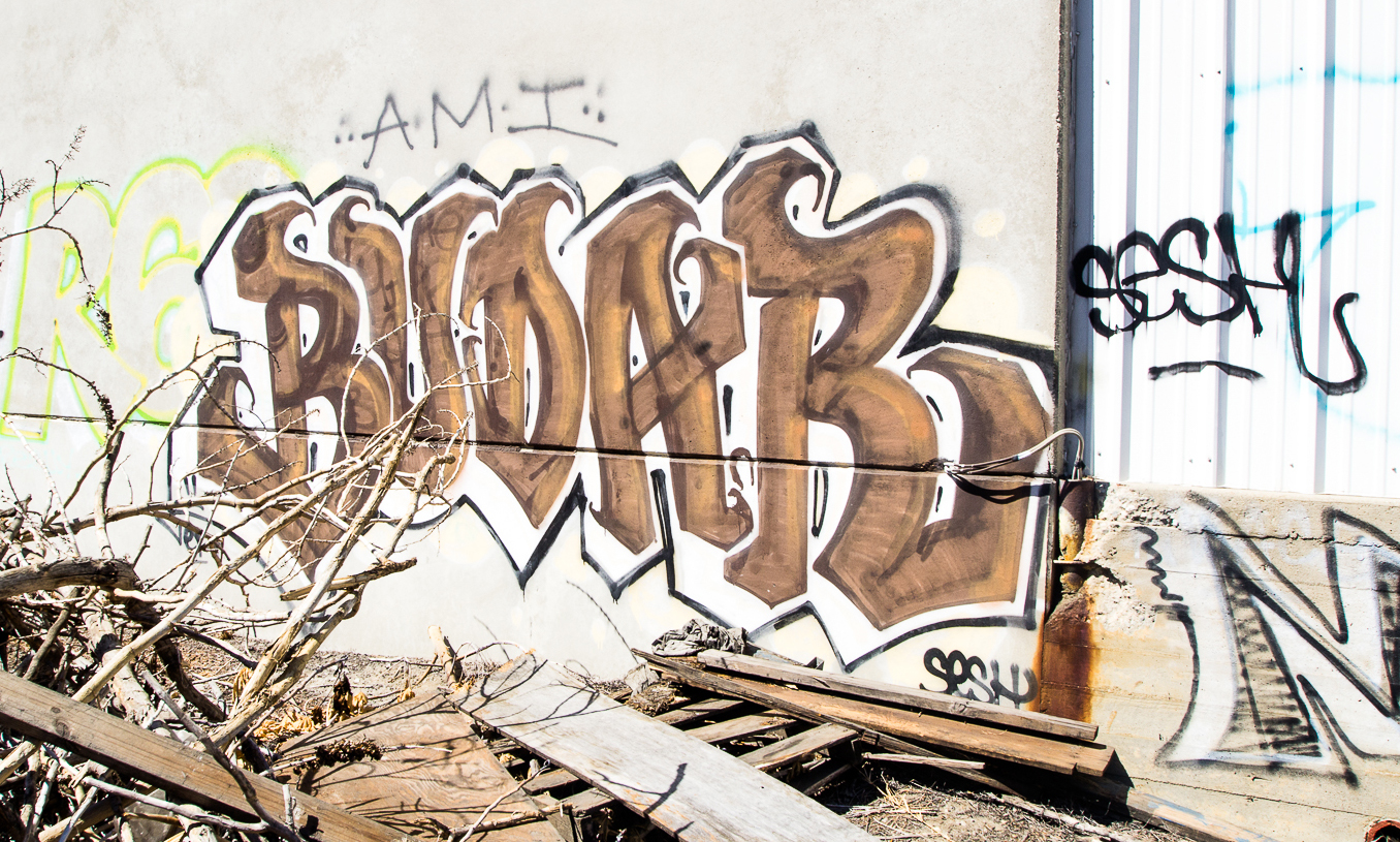 Carousel Image number 5