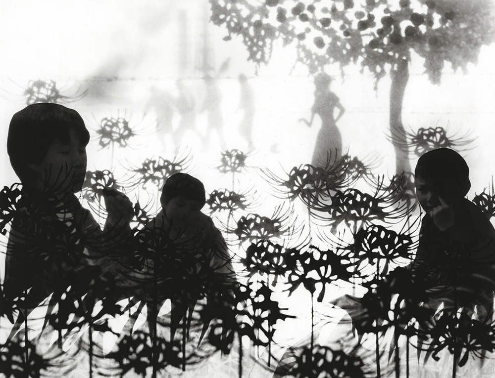 Carousel Image number 9