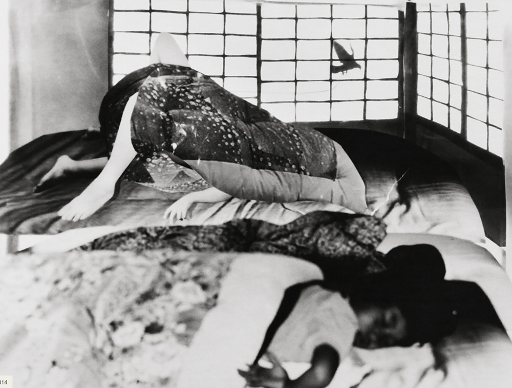 Carousel Image number 11