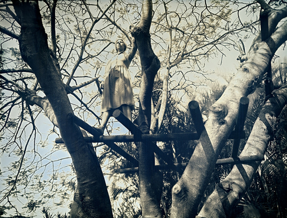 Carousel Image number 8