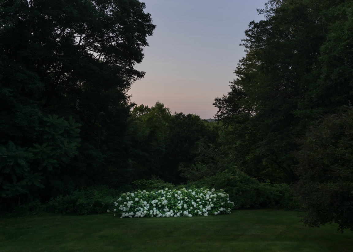 Carousel Image number 5