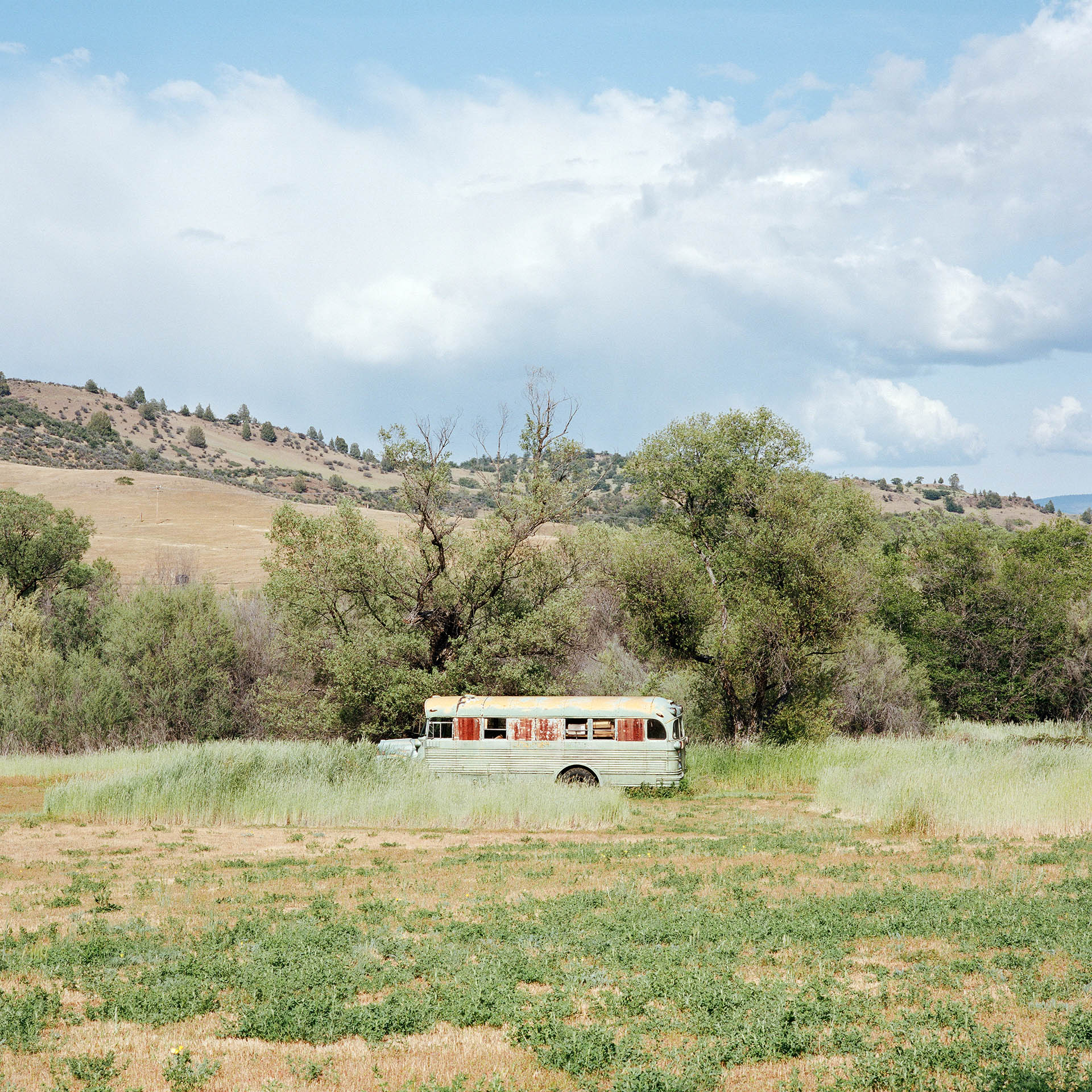 Carousel Image number 5