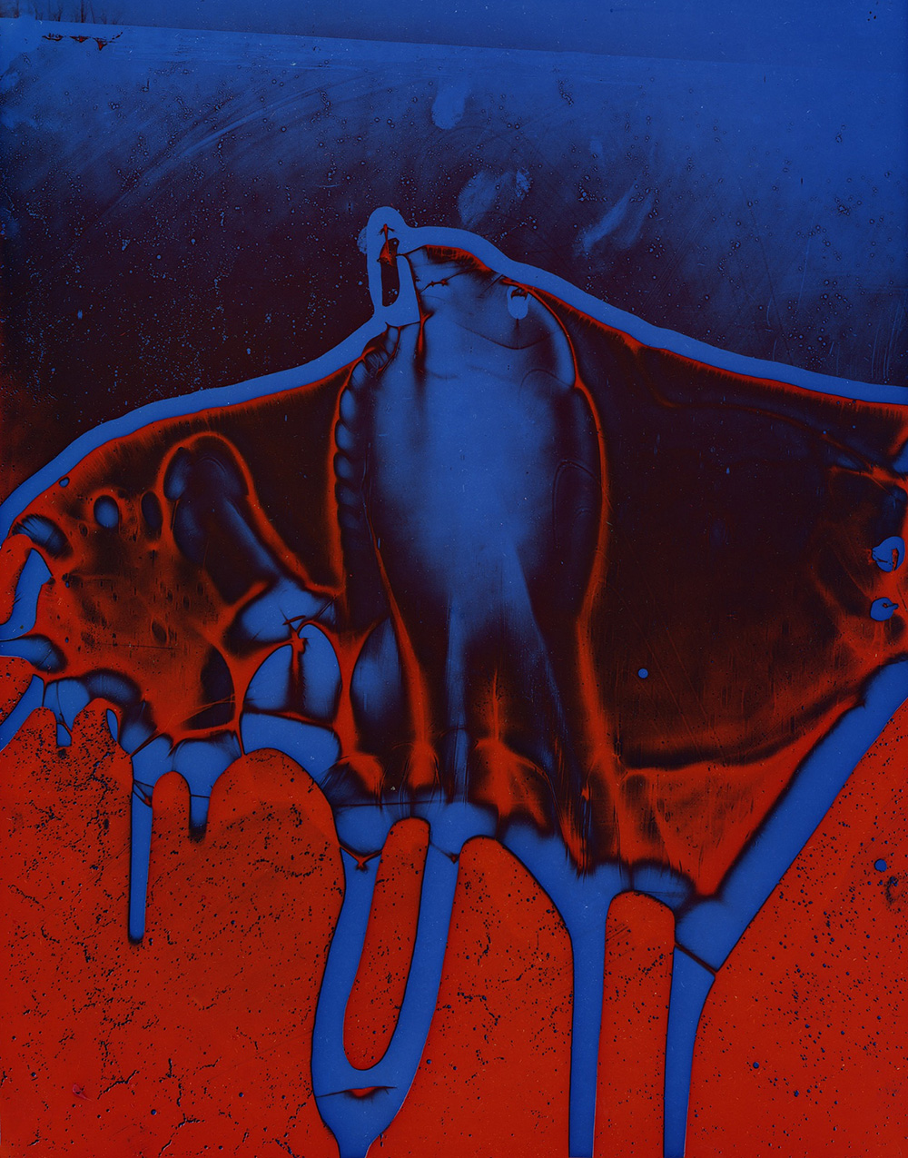 Carousel Image number 9