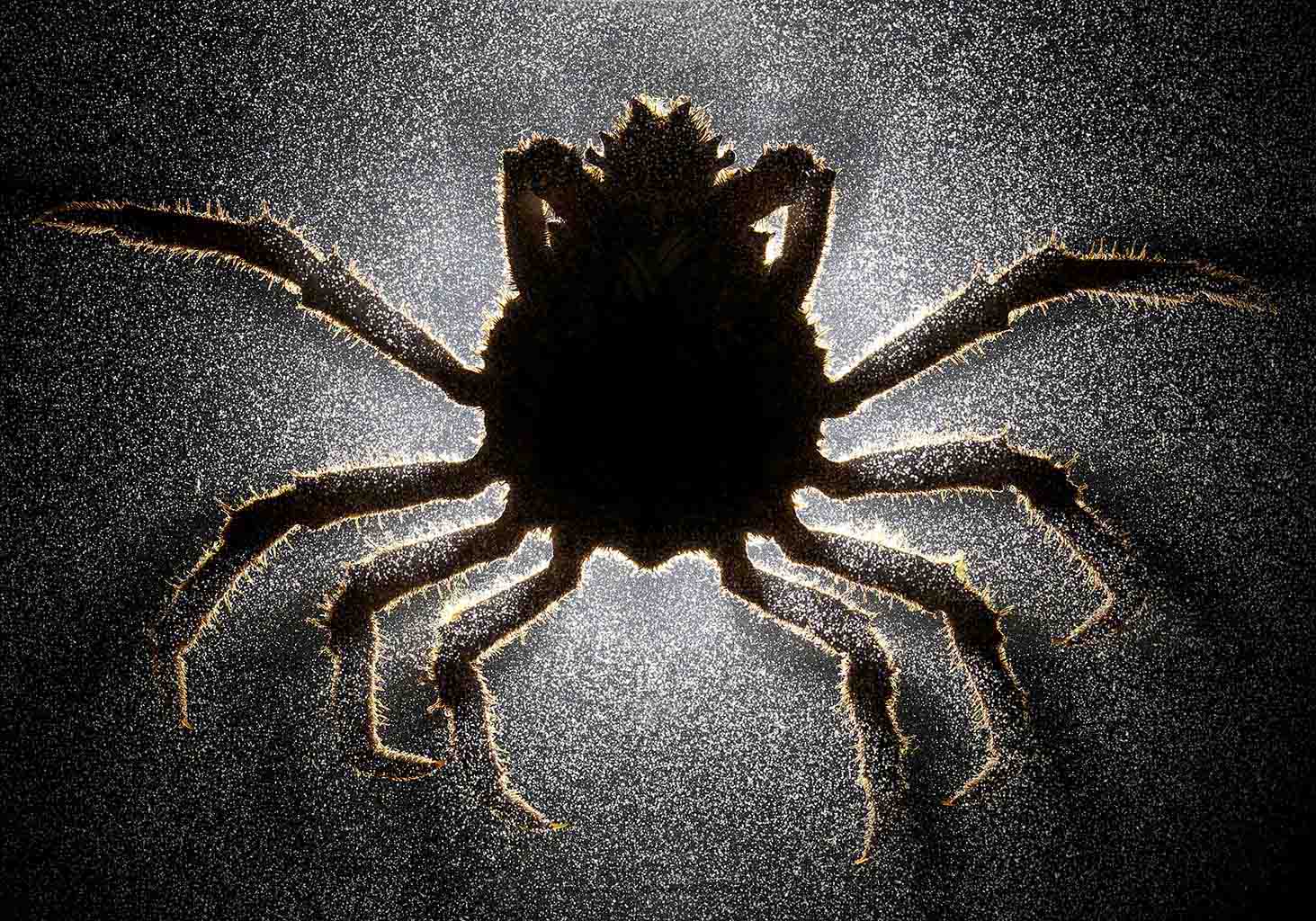 Carousel Image number 1