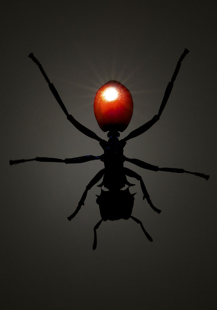 Carousel Image number 2