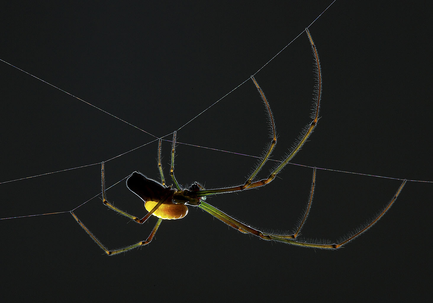 Carousel Image number 3