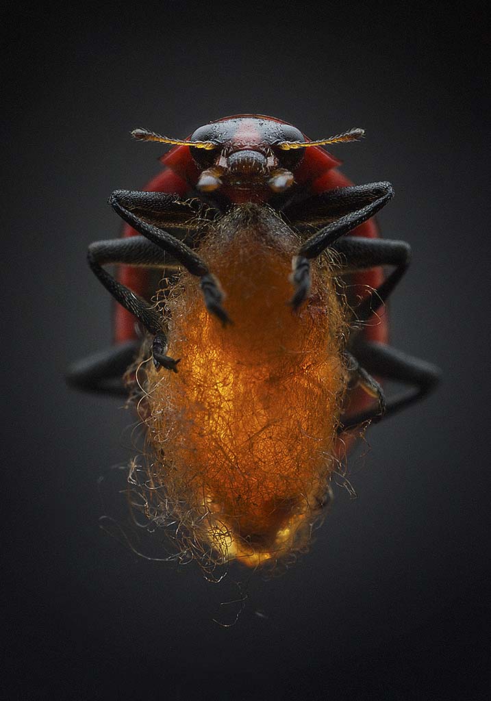 Carousel Image number 4