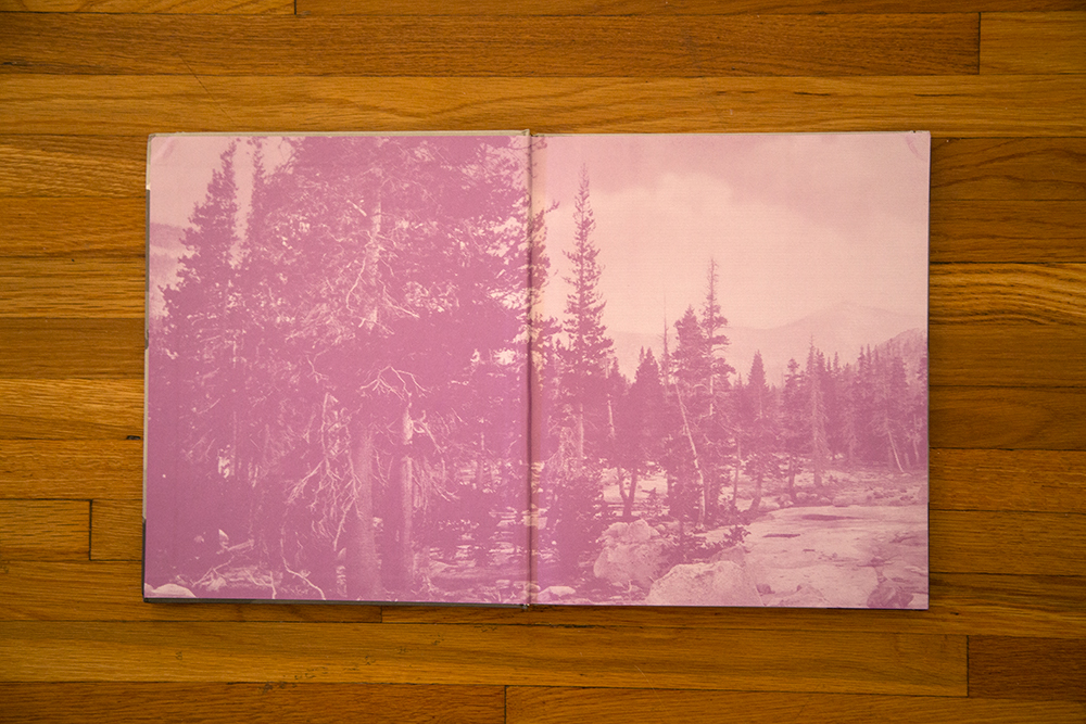 Carousel Image number 4