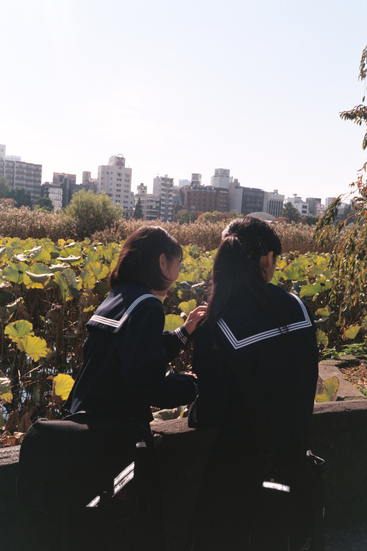 Carousel Image number 7