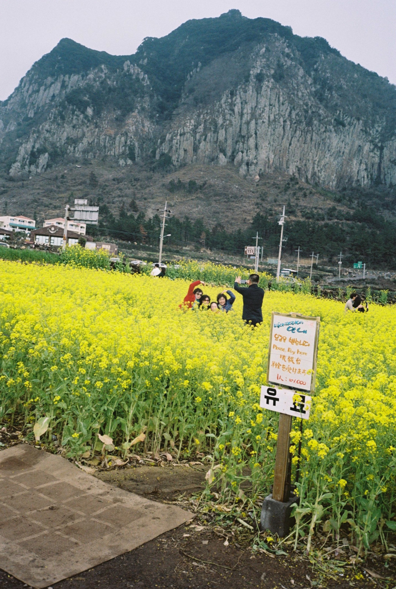 Carousel Image number 8