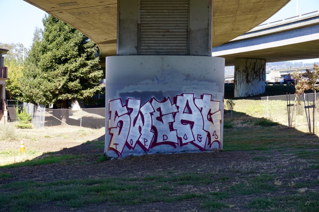 Carousel Image number 8