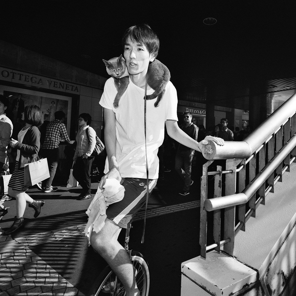 Carousel Image number 5