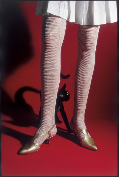 Carousel Image number 10