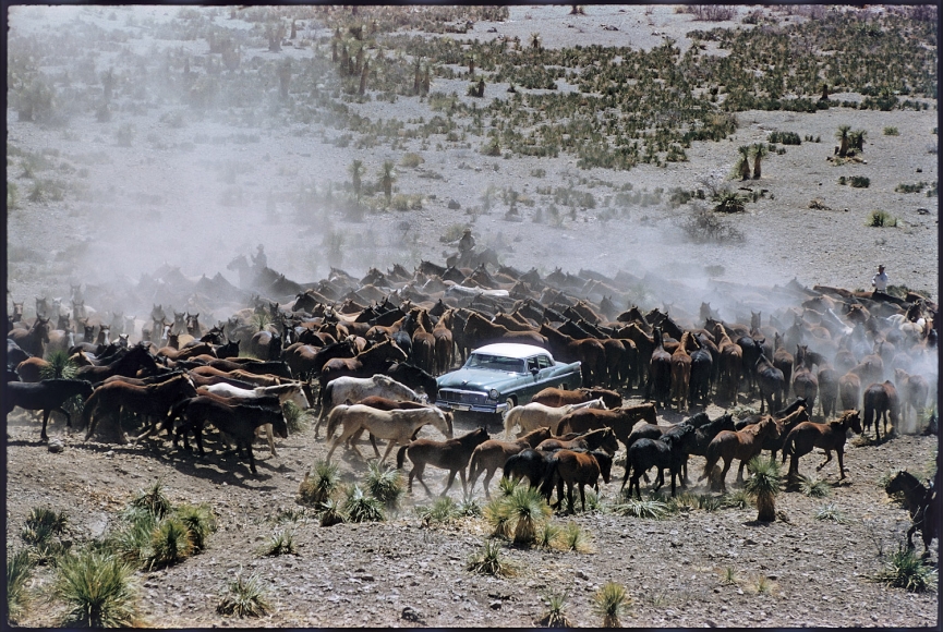 Carousel Image number 11