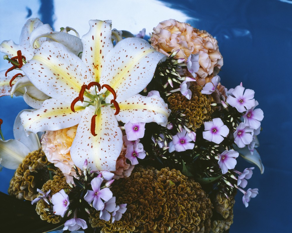 Carousel Image number 1