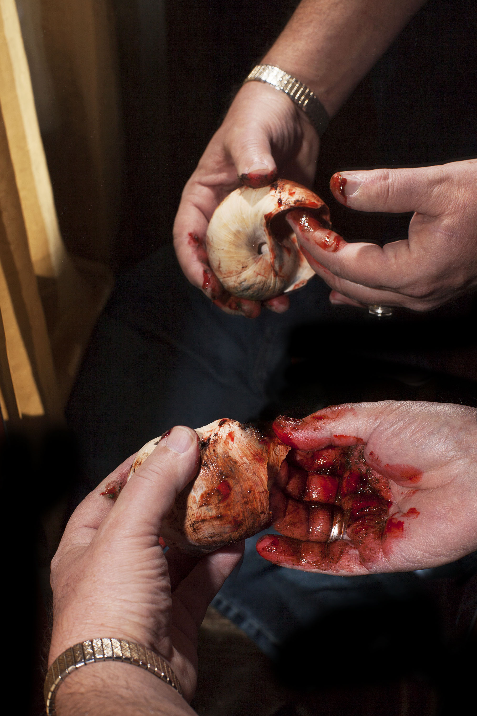 Carousel Image number 3