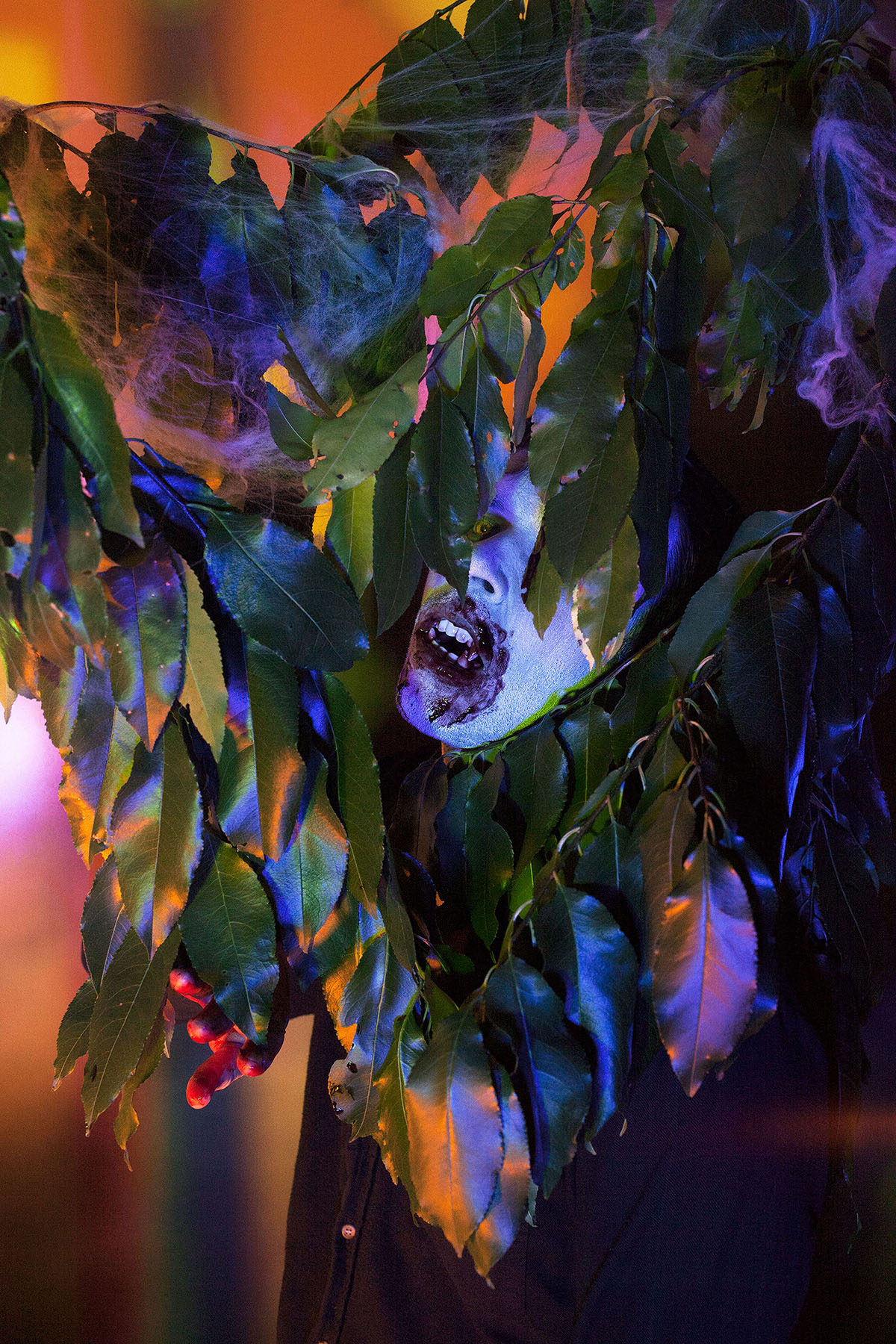 Carousel Image number 11