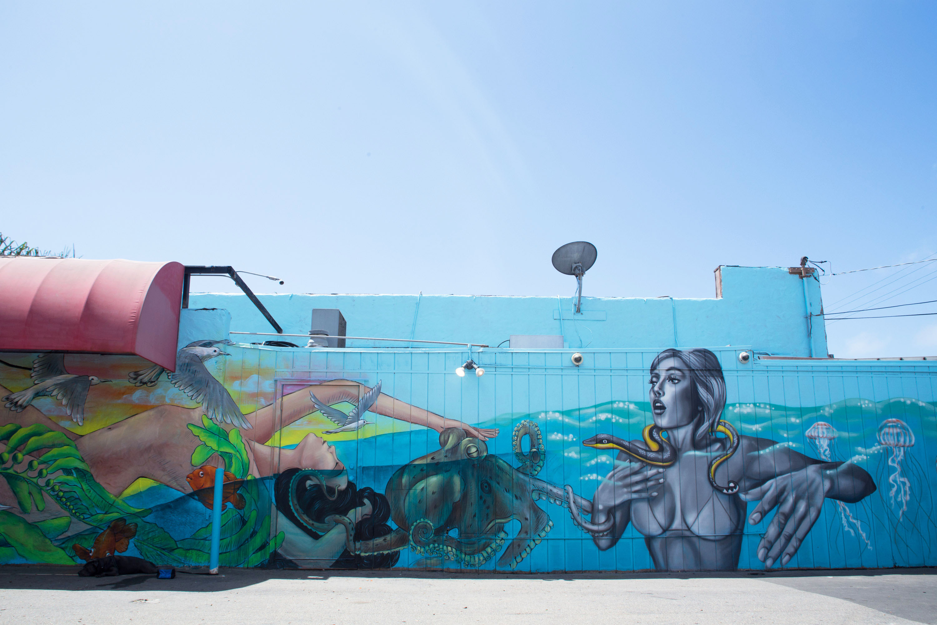 Ocean Week 2016 Mural