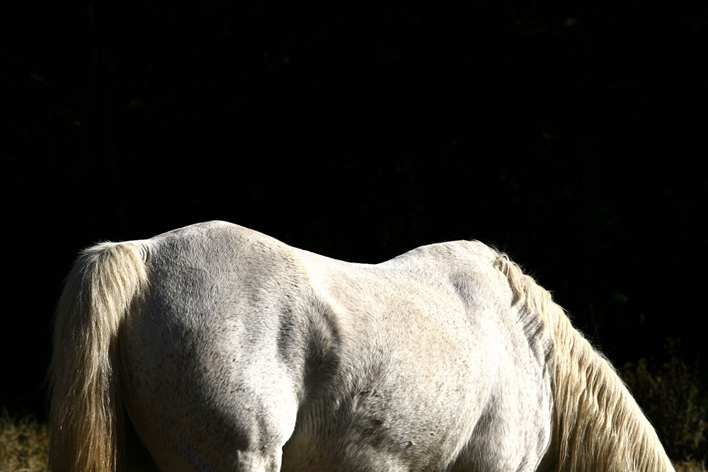 Carousel Image number 9