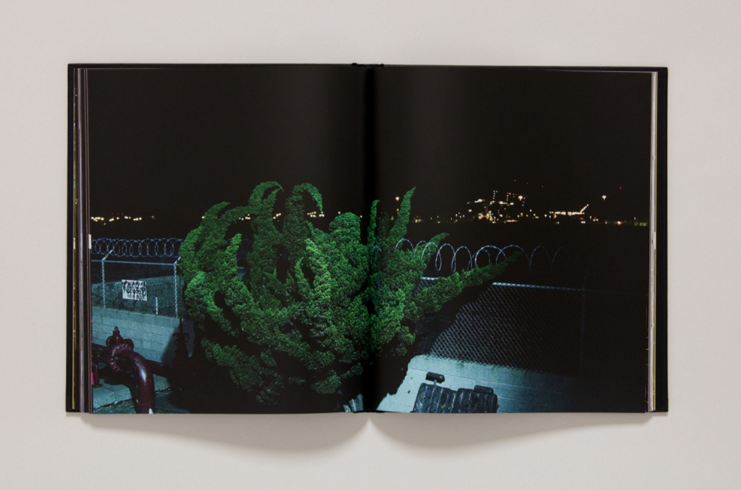 Carousel Image number 5